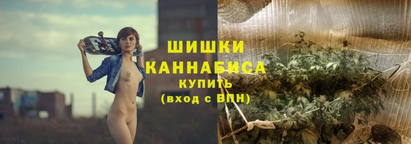 индика Заволжск
