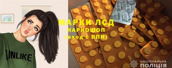 индика Заволжск