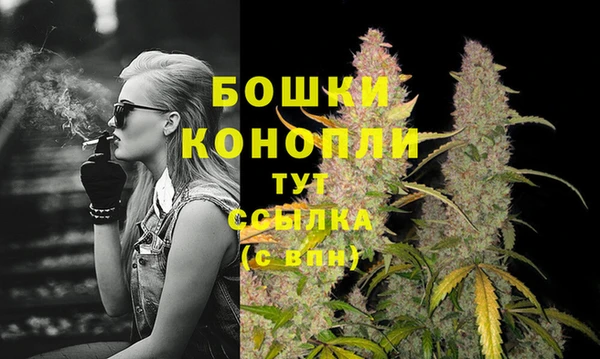 спайс Заволжье