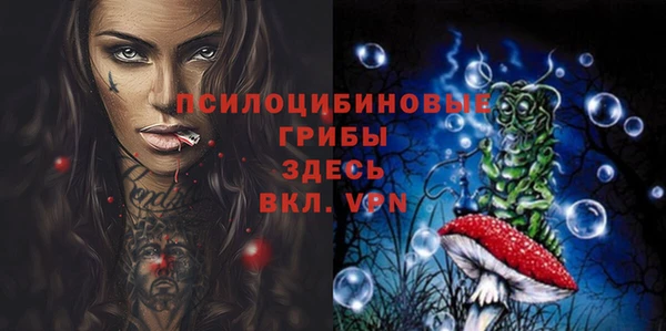 индика Заволжск