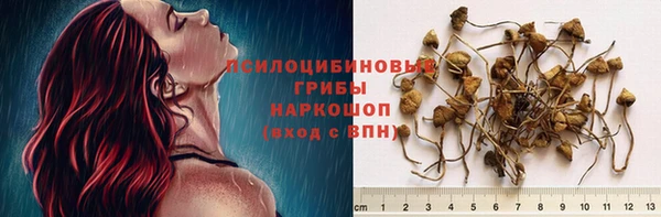 спайс Заволжье