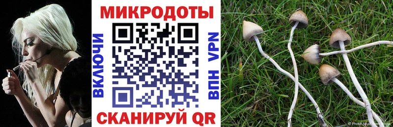 Галлюциногенные грибы прущие грибы  Купить где  Котовск 